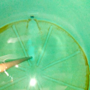 Foto: Limpeza da caixa antes e depois