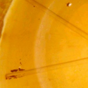 Foto: Limpeza da caixa antes e depois