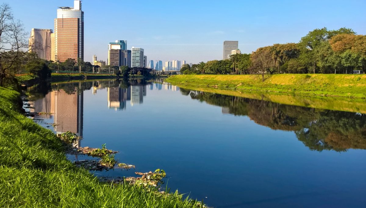 Capa blog Novo Rio Pinheiros